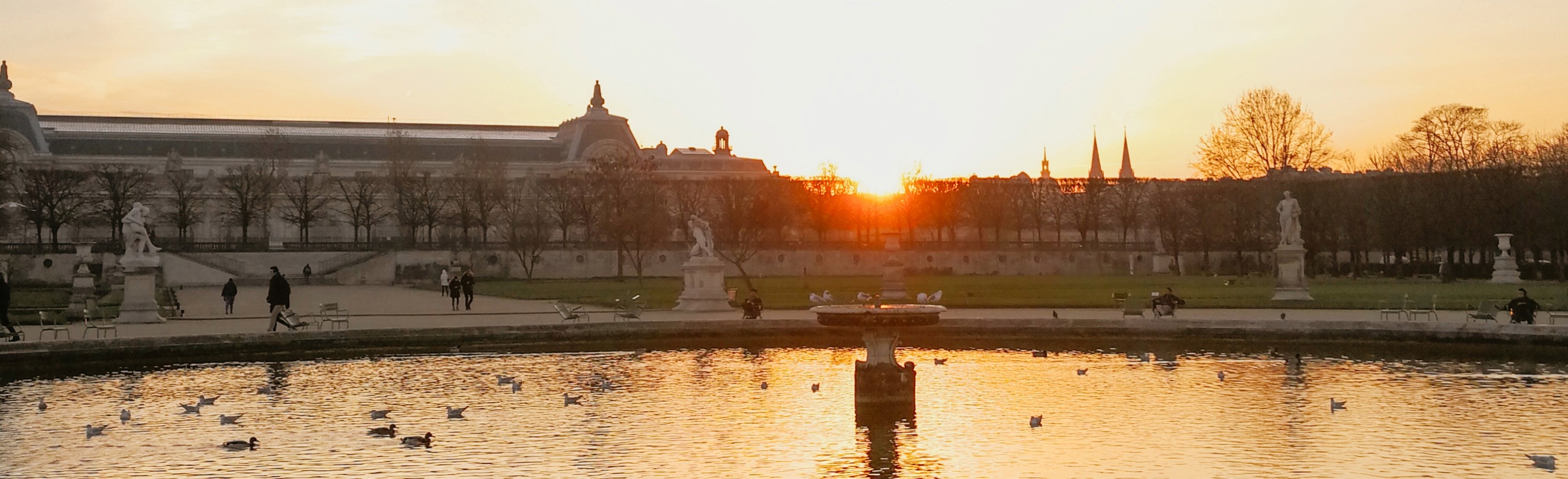 Donation-partage et contrat de capitalisation : organiser sa transmission de son vivant